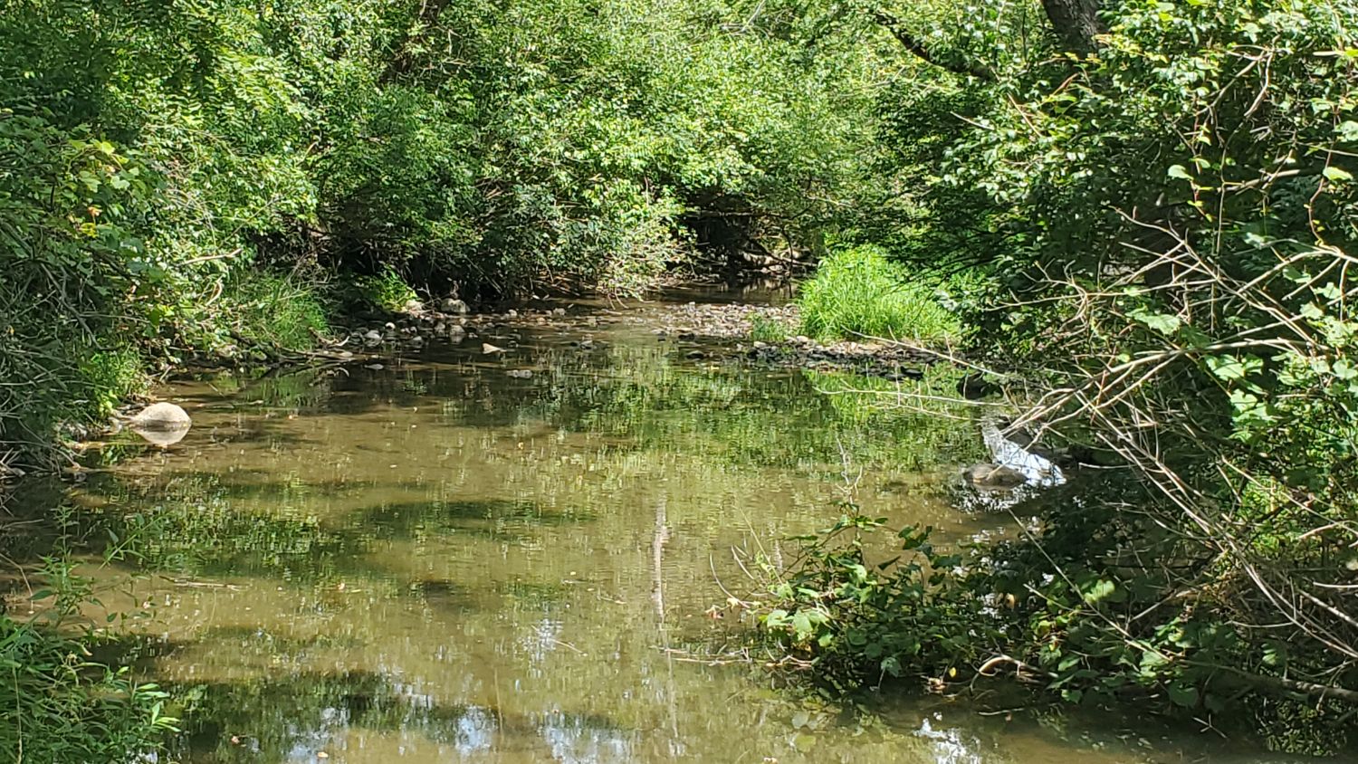 Shabbona Lake State Park 